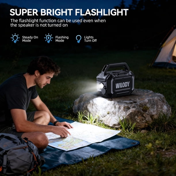 Wilody Altoparlante Bluetooth Portatile 100W – Bassi Potenti, IPX7, Ricarica Wireless Qi, 20h Autonomia, TWS, Ingressi TF/AUX/USB, Torcia LED E RGB