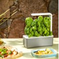 thumbnail image 2 of Click and Grow Smart Garden 3 Indoor Gardening Kit - Open Box, 2 of 4