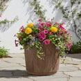 thumbnail image 1 of Jardinière en Résine Cappriccio Better Homes & Gardens 16 pouces, Bois Foncé, 1 of 5