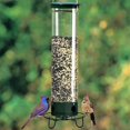 thumbnail image 4 of Squirrel Proof Bird Feeder with Weight Activated Perch | Rotating Seeds Dispenser for External Hanging | Durable Polycarbonate Tube Feeder for Wild Birds in Backyard Garden, 4 of 8