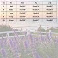 thumbnail image 5 of Nuoqisi Women Linen Pants Wide Leg Palazzo Pants Cotton Linen Drawstring Summer Pants with Pockets, 5 of 5