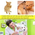 thumbnail image 2 of Lttoisl Multi-Color Pet Flea Comb, Stainless Steel Narrow Tooth Grooming Brush for Dogs & Cats, Effective Lice & Dandruff Removal, Gentle Dematting Massage Tool, 1-Pack, 2 of 8