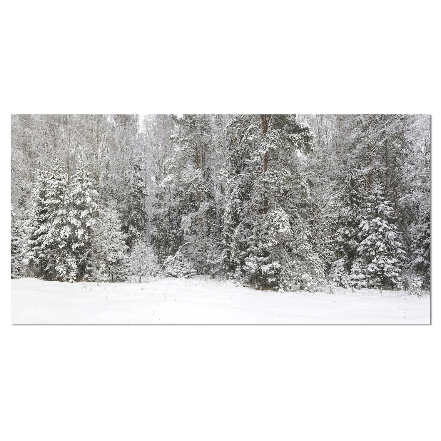 Designart Panorama brumeux de la forêt d'hiver Art mural sur toile