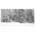 thumbnail image 1 of Designart Foggy Winter Forest Panorama Canvas Wall Art, 1 of 4