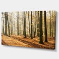 thumbnail image 2 of Journée d'Automne Lumineuse dans une Forêt Épaisse - Art Moderne sur Toile, 2 of 4