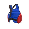 thumbnail image 1 of Taekwondo And Karate Chest Guard For Taekwondo Karate Practitioners Adjustable Belt Protector Protection Martial Arts Red Blue Red Blue S, 1 of 9