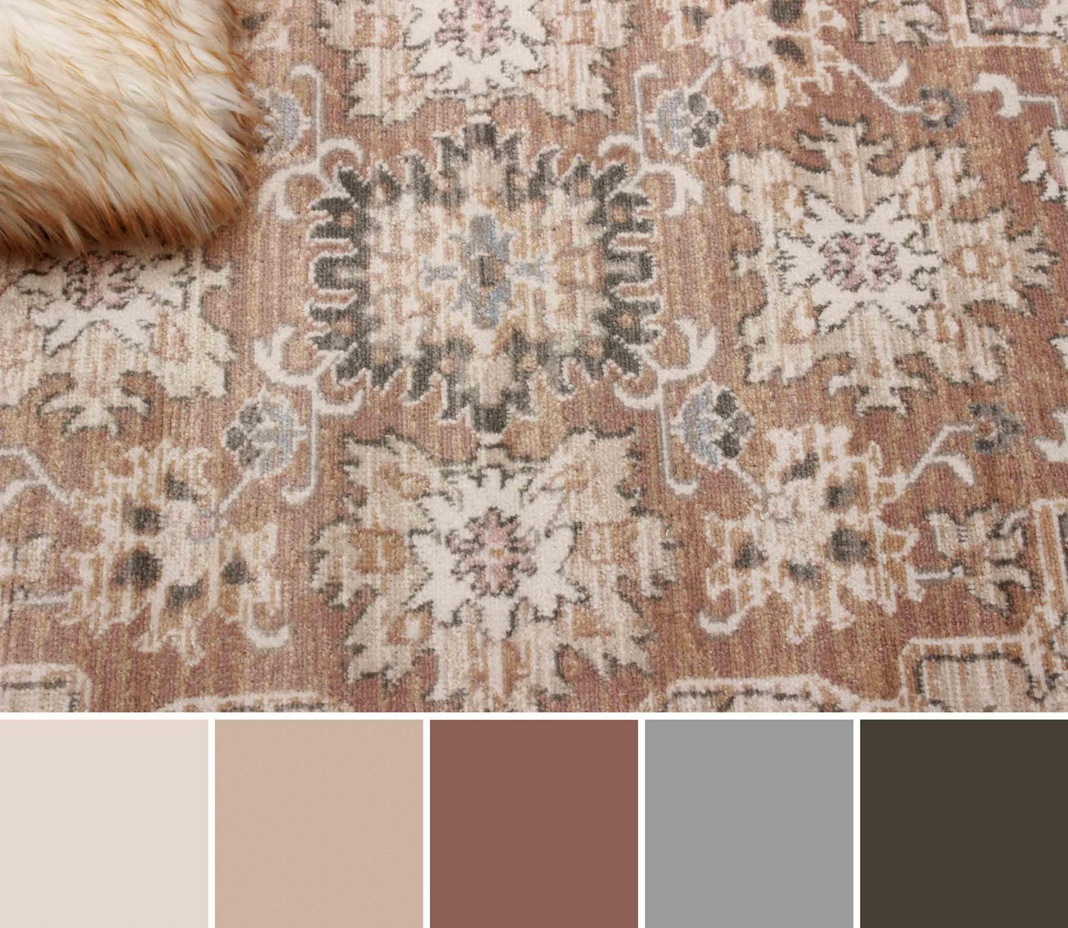 ECARPET Arden Traditional Area Rug for Living Room, Bedroom, Dining Entrance
