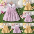 thumbnail image 1 of LOVZFMLL Girls' Summer Short Sleeve Ruffled Lace Round-Neck Embroidery Mesh Princess Bow Skirt, 1 of 9