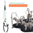 thumbnail image 4 of Pet Bath  Adjustable Pets Beauty Treatments Tools Pet Grooming , Dog Grooming , For Pet Table For Dot For Arm Bath Tub For Pet, 4 of 8