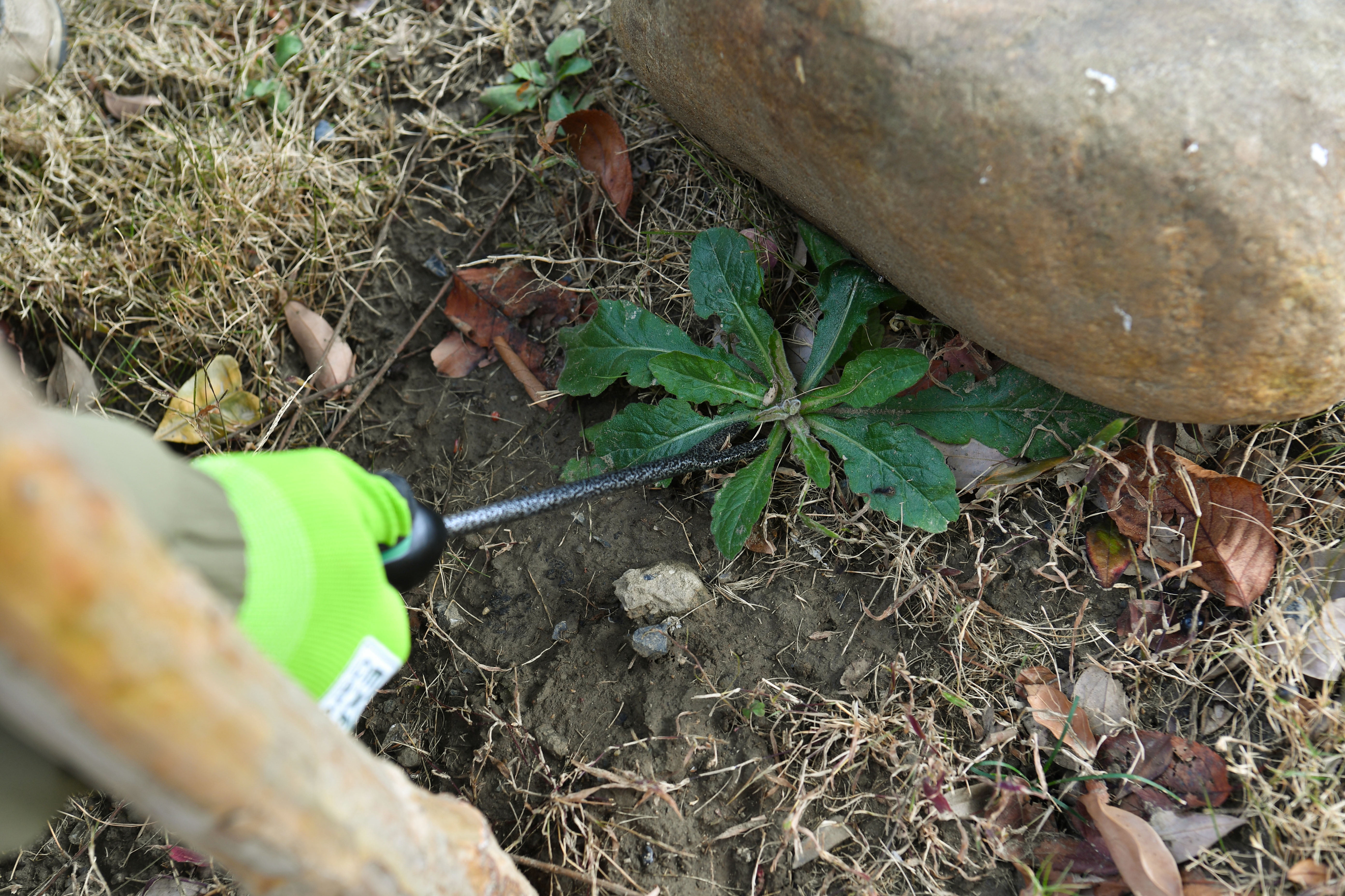 Expert Gardener Steel Hand Weeder