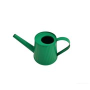 FEISHENTT Small Metal Watering Can Garden Cans with Long Spout, Indoor Outdoor Care