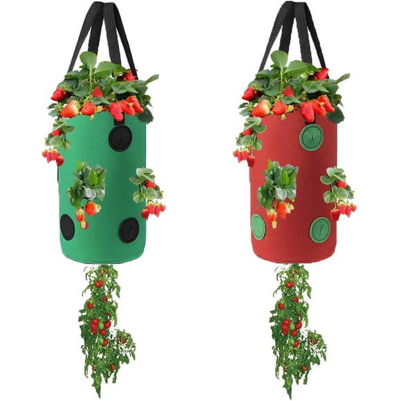 2 Packs Upside Down Planter, Hanging Strawberry Tomato Potato Grow Bag Garden Plant Vegetable Planting Bag with Holes(Green+Red)