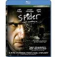 thumbnail image 1 of Araignée, 1 of 1
