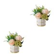 thumbnail image 1 of kurtrusly Artificial Flowers With Vase Add Of Color And Style To Any Room Indoor Pinellia Champagne 2Set, 1 of 6