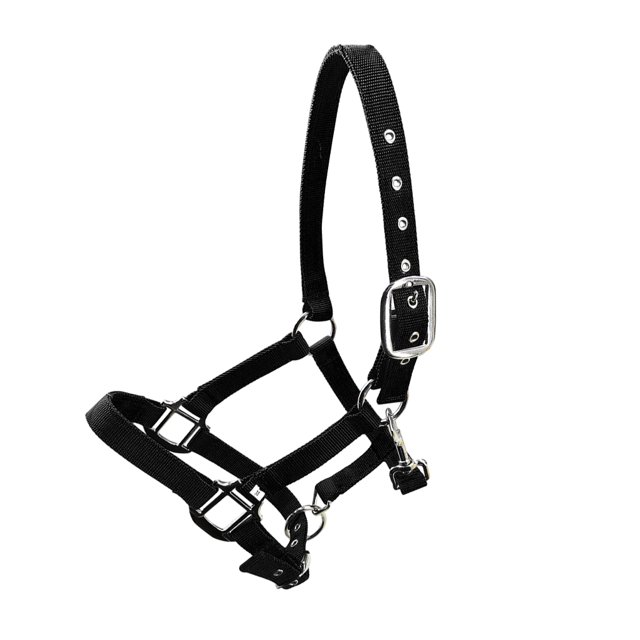 Wweixi Collier de Tête de Cheval Rembourré à Licou Grande Résilience Fournitures de Cheval Solidité Coussin de Selle de Course Professionnel Noir m