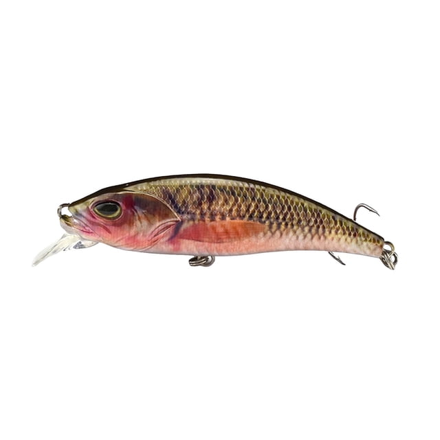 TIELUTT Natation 3D Natation Réutilisable Pêche Moulinets Baitcaster Gaucher Moulinets Baitcaster Canne et Moulinet Baitcaster Combo Canne et Moulinet Baitcaster Droitier compatible avec Mach 2 Baitcaster C