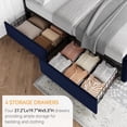 View all media