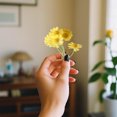 thumbnail image 4 of LSLJS 10 Mini Artificial Daisies Small Marguerite Flowers Fake Spring Flowers Decorative Imitation Flowers with Stems Home Decoration Variety, Plastic Simulated Daisy, 4 of 6