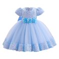 thumbnail image 1 of Robe Formelle pour Tout-Petit à Manches Bouffantes, Robe de Bal pour Tout-Petit, Robe en Tulle pour Tout-Petit, Robe pour Fillette de 3-4 Ans, 1 of 4