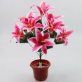 thumbnail image 4 of mmirethe Low Maintenance Artificial Lilium Flower Realistic Appearance And Long-lasting deep pink 1Set, 4 of 6