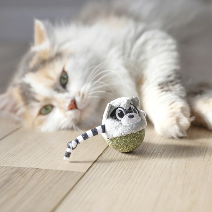 Quirky Kitty Rolly Raccoon Bobbler Herbe à Chat Compressée Jouet pour Chat Balle