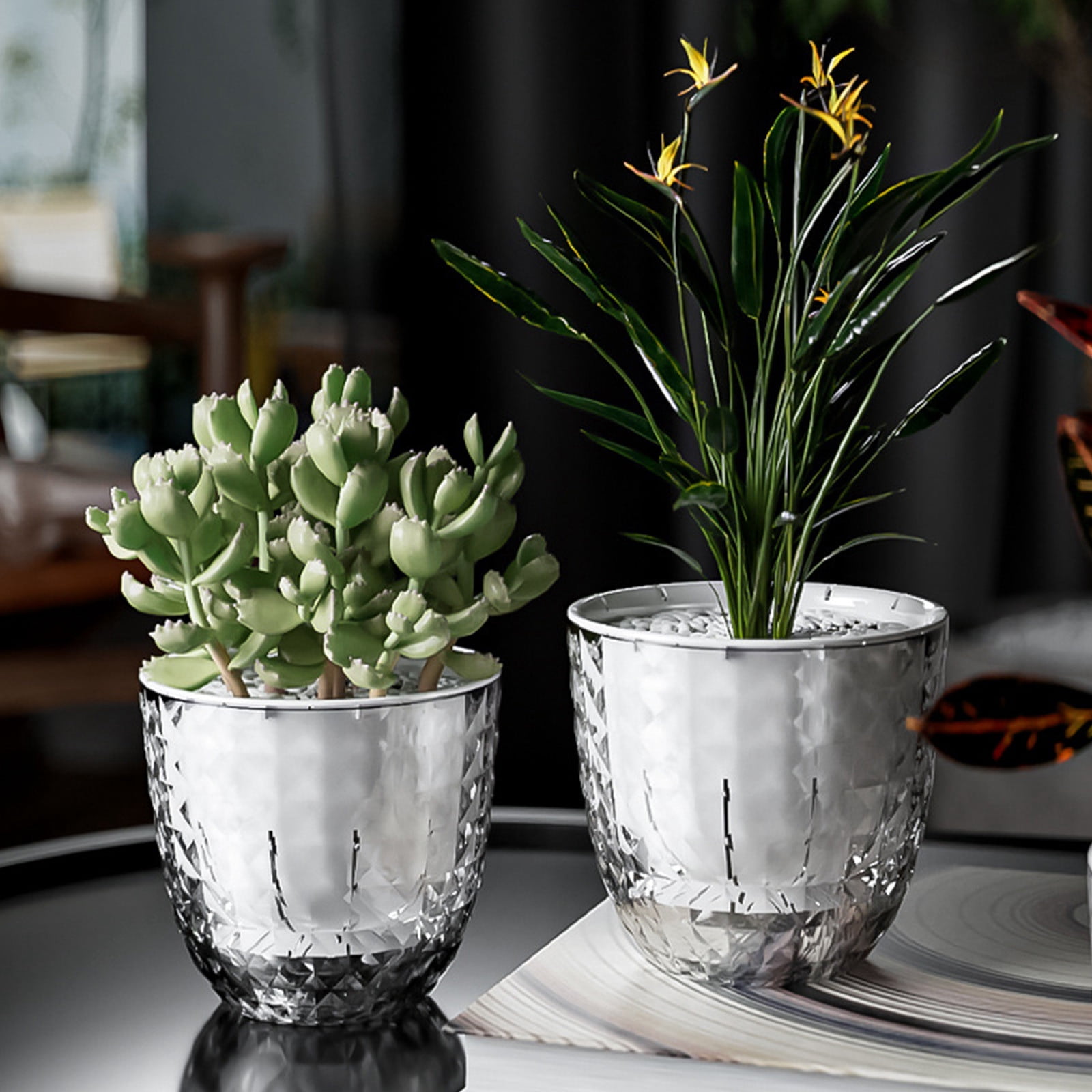 Cagogo Transparent Self Watering Planter, Double Layer Water Storage Flower Pot for Indoor Plants, Lazy Office Plant Pot with Drainage Holes, Small Planting Pot for Succulents Herbs Home Decor