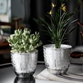 thumbnail image 1 of RuiJiao Clearance Transparent Diamond Flower Pot Double Layer Water Storage Flower Pot Small Planting Pot Lazy Office Flower Pot, 1 of 8