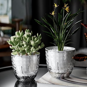 Cagogo Transparent Self Watering Planter, Double Layer Water Storage Flower Pot for Indoor Plants, Lazy Office Plant Pot with Drainage Holes, Small Planting Pot for Succulents Herbs Home Decor