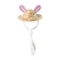 thumbnail image 1 of BotaniNest Fashionable Hat For Small Hamster Pig Bunny Cute Photo Prop And Costume, 1 of 6