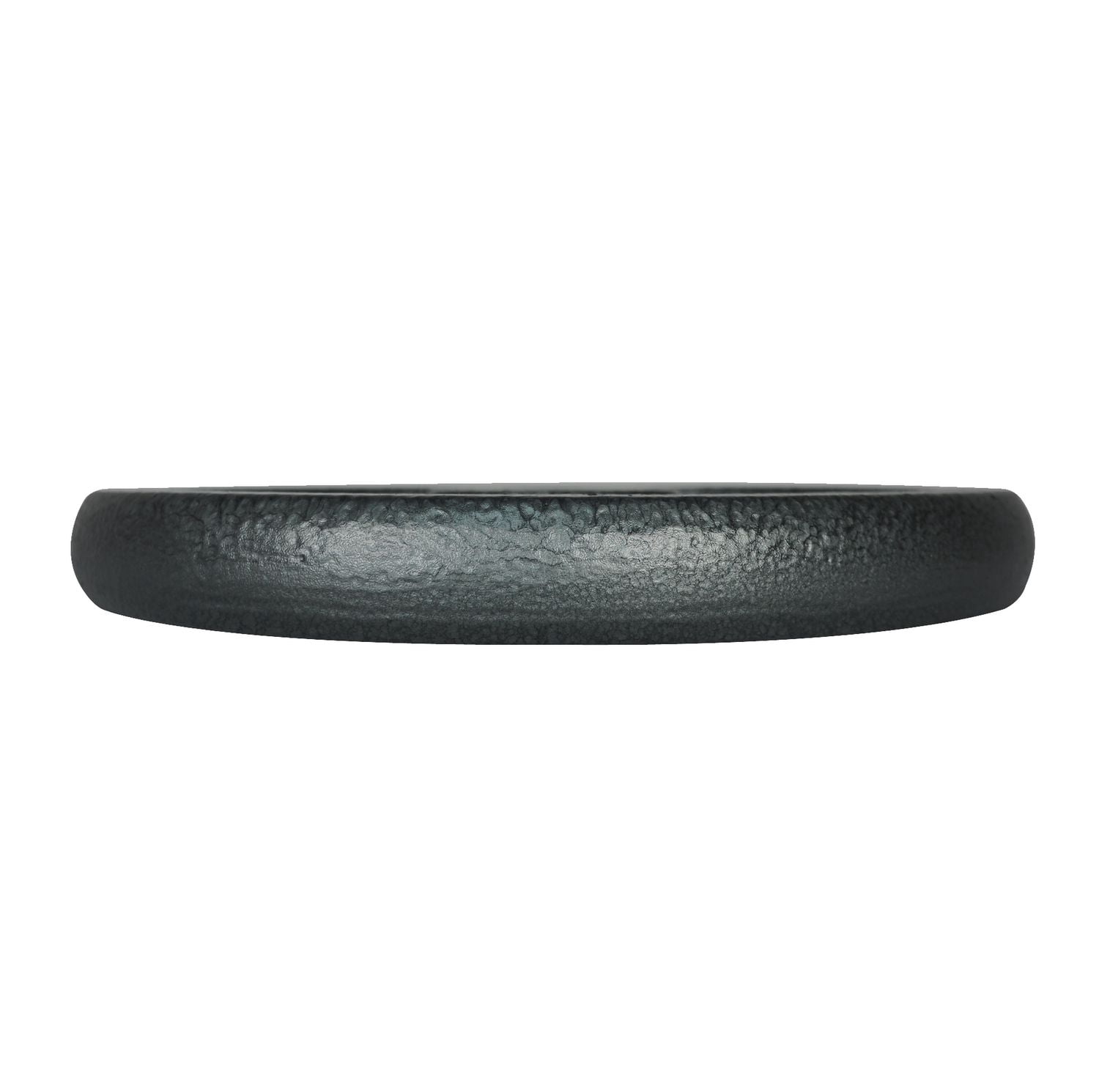 GoZone Grip Weight Plate – Silver