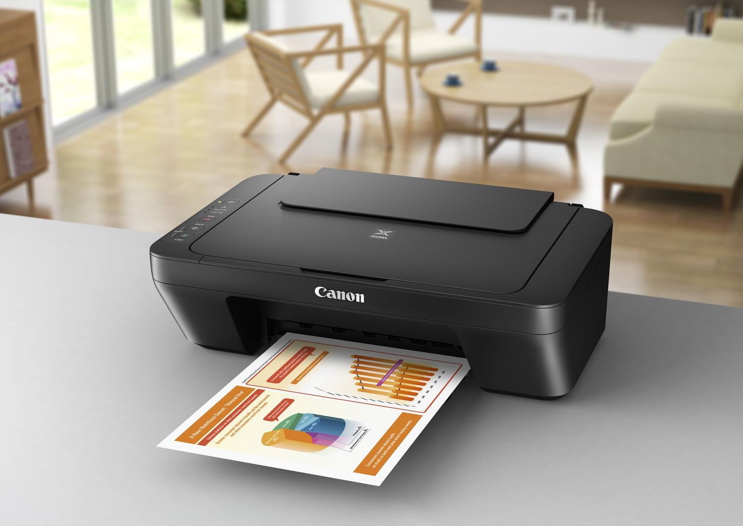 Canon Imprimante Jet d'Encre Tout-en-un PIXMA MG2524 avec Câble USB