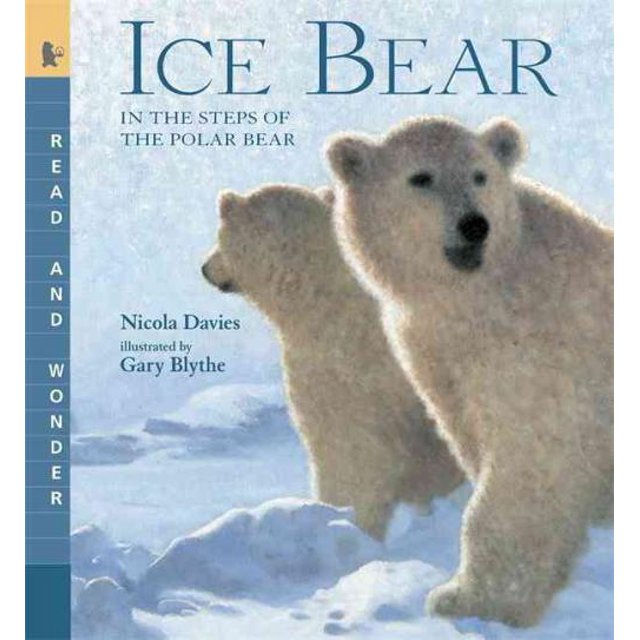 Ours en Glace, Nicola Davies Broché