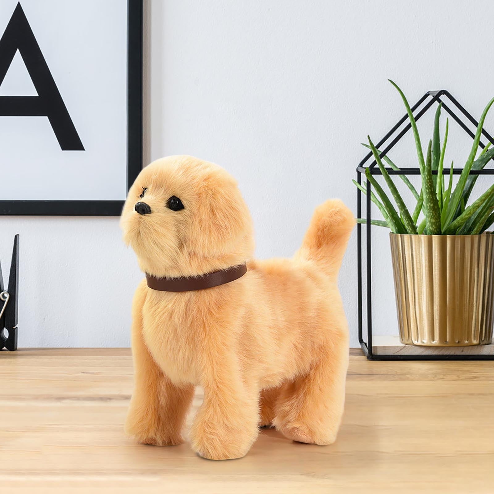 Noisette chien en peluche qui marche et aboie, jouet enfant 3 Noisette chien en peluche qui marche et aboie, jouet enfant 3