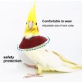 thumbnail image 3 of CBFFDC Dispositif de Retenue pour Oiseaux Collier de Récupération Ajustable pour Perroquet Anti-Morsure Protection contre les Blessures Attache Fixation Collier pour Oiseaux Accessoire pour Oiseau de Compagnie, 3 of 6
