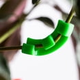 thumbnail image 3 of Transemion 50x Plant Promote 50pack/lot Plants And With Ease Accessory To Plants green, 3 of 6