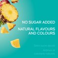 thumbnail image 3 of SunRype Pineapple Breeze 100% Juice Blend 900ml, 3 of 8