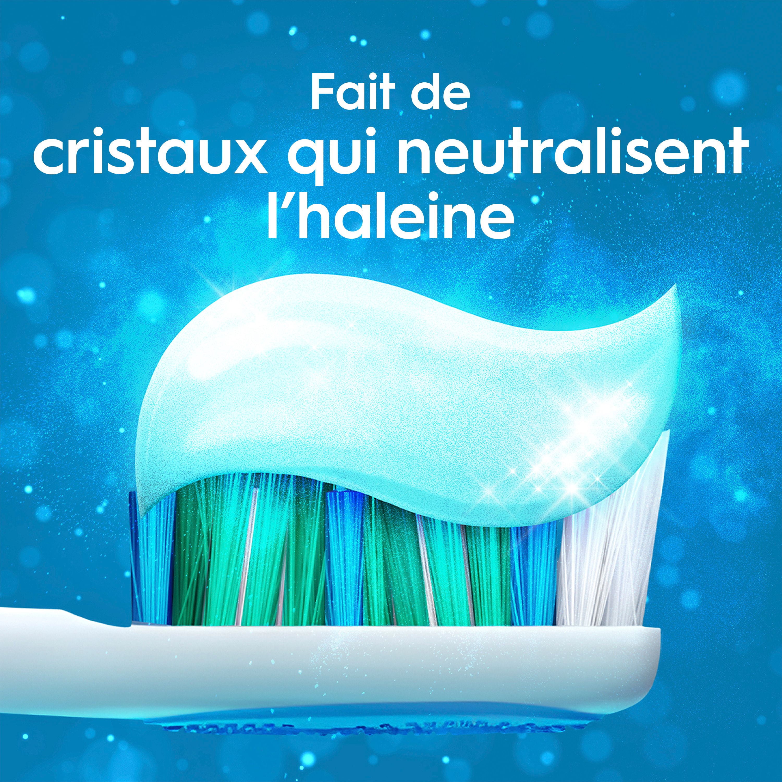 Crest Dentifrice Haleine Propre Menthe Poivrée – Neutralise la Mauvaise Haleine, Protection Antibactérienne, Combat les Caries, Rafraîchit l'Haleine, Blanchit en Douceur