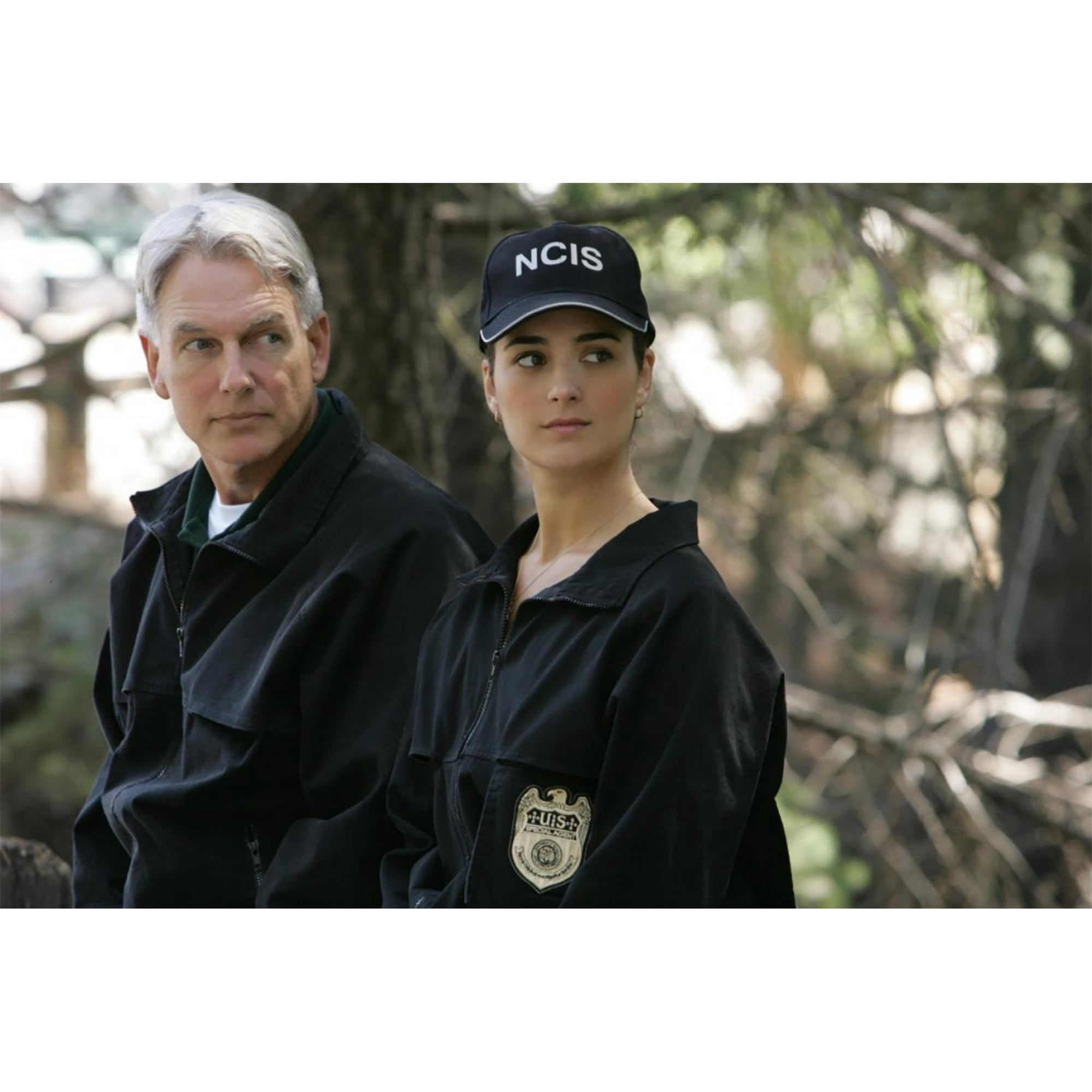 NCIS Complete Series 1-20 [DVD]-English only - Walmart.ca