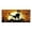 Black, variant on Halloween Garage Banner Decorations Outdoor Indoor Hanging Party Supplies Scary Theme Decorative Sign Baseball Pennant Flags Canadian Flag Small 4x6 Outdoor Pennant Lights Custom Banners And Signs