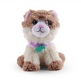 thumbnail image 1 of Chat Ragdoll My Life As, 1 of 4