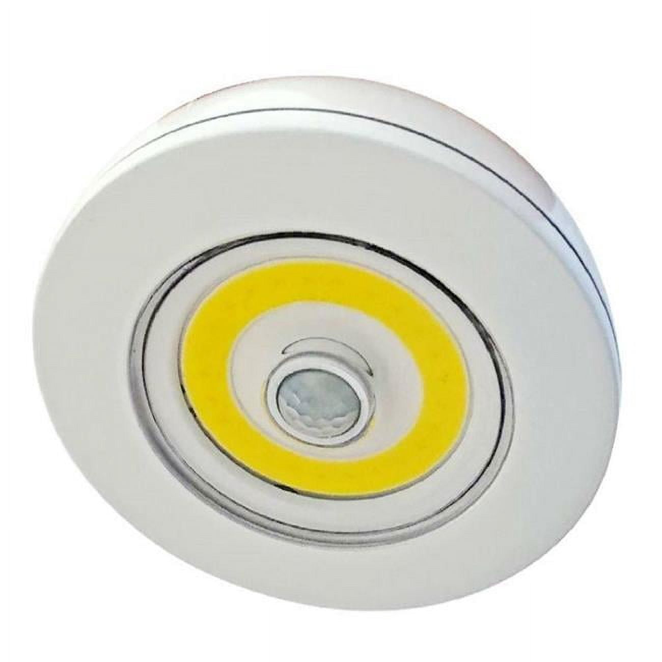 Motion Ceiling Light