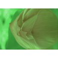 thumbnail image 1 of Ahgly Company Machine Washable Indoor Rectangle Transitional Seaweed Green Area Rugs, 2' x 3', 1 of 7