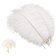 thumbnail image 3 of 10 Pcs Natural Ostrich Feather Craft Plume - For Wedding Centerpieces Home Decoration (White), 3 of 4