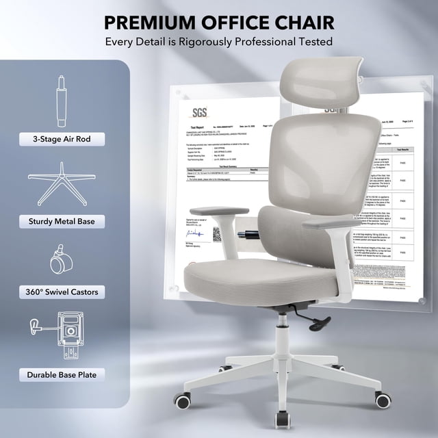 EDTara Mesh Ergonomic Office Chair, High-Back Swivel Design With Adjustable Lumbar Support, 3d Armrests and Reclining Back