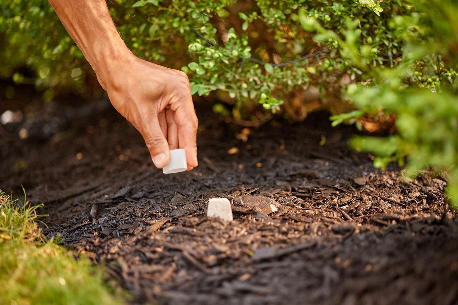 Bâtonnets d'engrais pour arbres et arbustes Miracle-Gro® 15-5-10