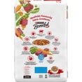 thumbnail image 3 of Beneful Originals with Real Beef, Dry Dog Food 12.7kg, 3 of 10