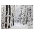 thumbnail image 1 of Designart Forêt d'hiver dense et ruelle Art mural sur toile, 1 of 4