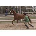 thumbnail image 2 of Heartland - The Complete 7th Season DVD, 2 of 6