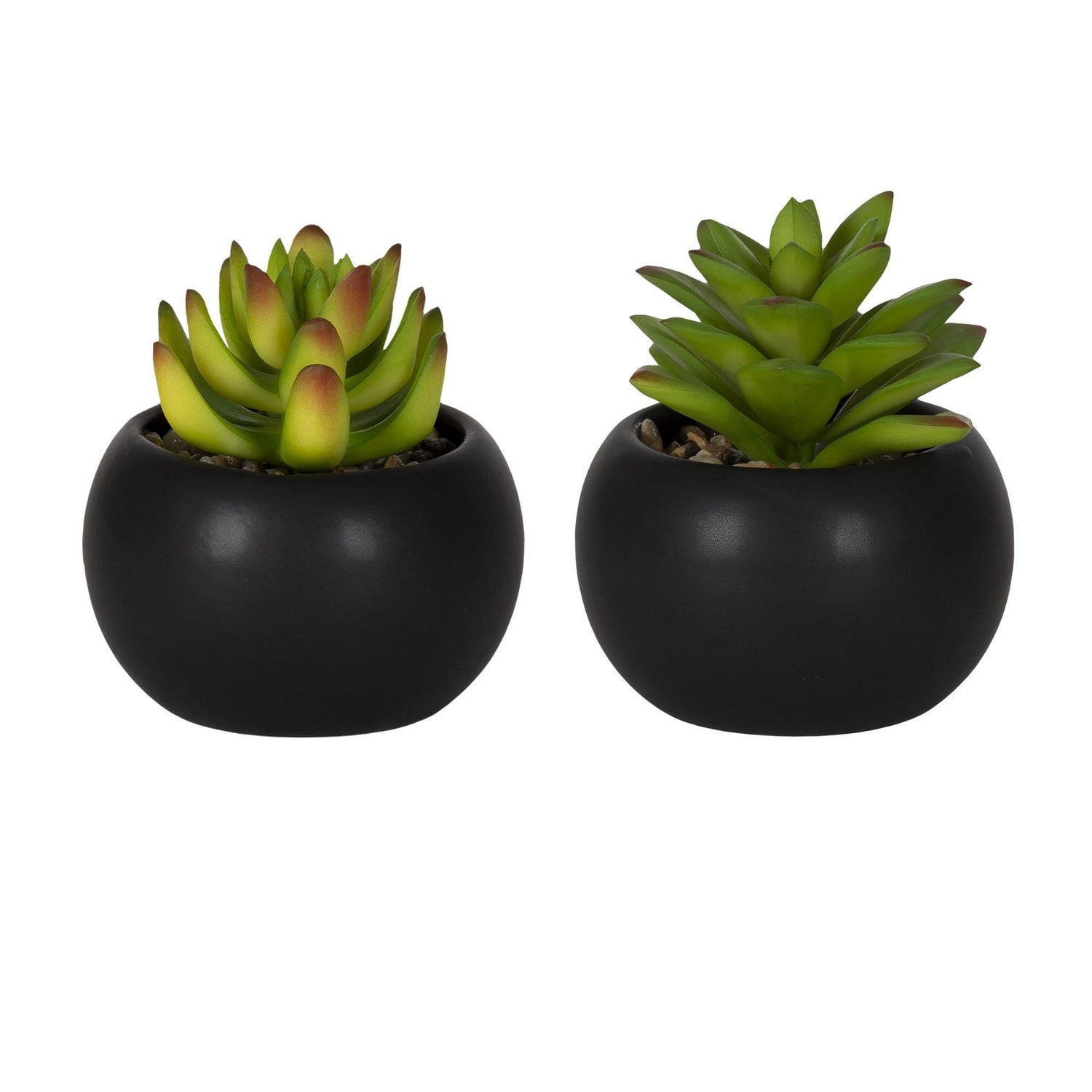 DesignOvation Succulente artificielle de table de 10,5 cm de haut dans un pot en céramique noire