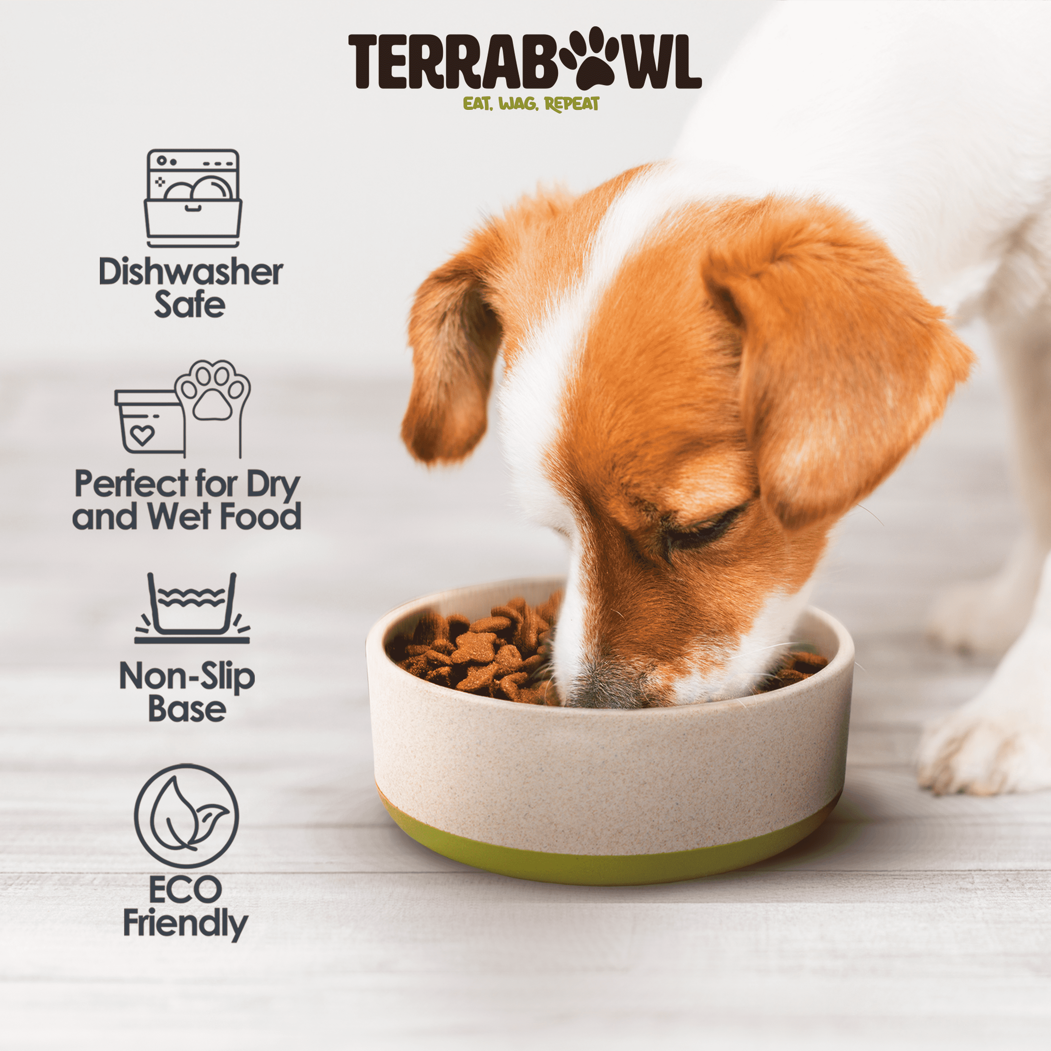 TerraBowl 28 oz. Bol pour Animaux de Compagnie Écologique, Antidérapant avec Couvercle pour Chiens et Chats